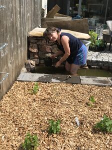 Planting the small pond