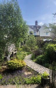 Maturing trees create a strong structural space