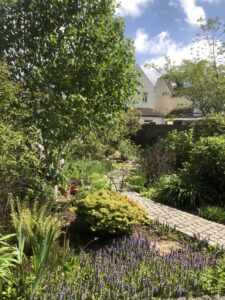 Vibrant greens & blossoming bugle in spring sunshine